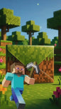 Convite Animado Minecraft