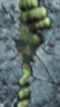 Convite Animado Hulk